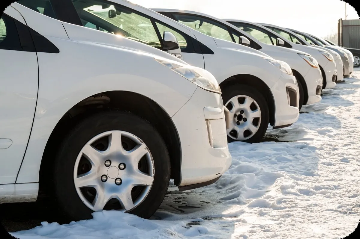 Fleet vehicles managed with AppTech TMS